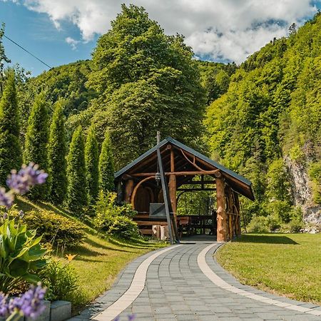 Apartamenty Magia Gor Szczawnica Kültér fotó